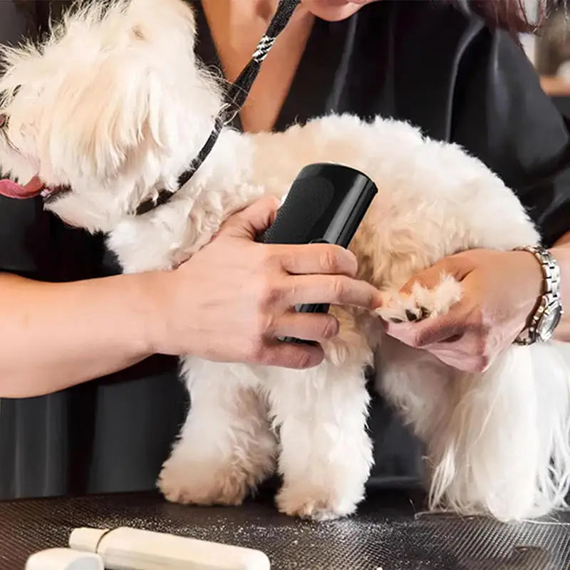 Professionele Huisdier Borstel – Verwijder Losse Haren & Klitten in Seconden