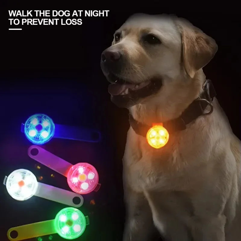 LED Veiligheidslampje voor Honden - USB Oplaadbaar - Waterbestendig