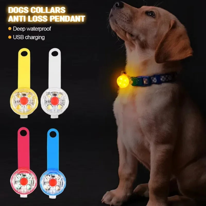 LED Veiligheidslampje voor Honden - USB Oplaadbaar - Waterbestendig