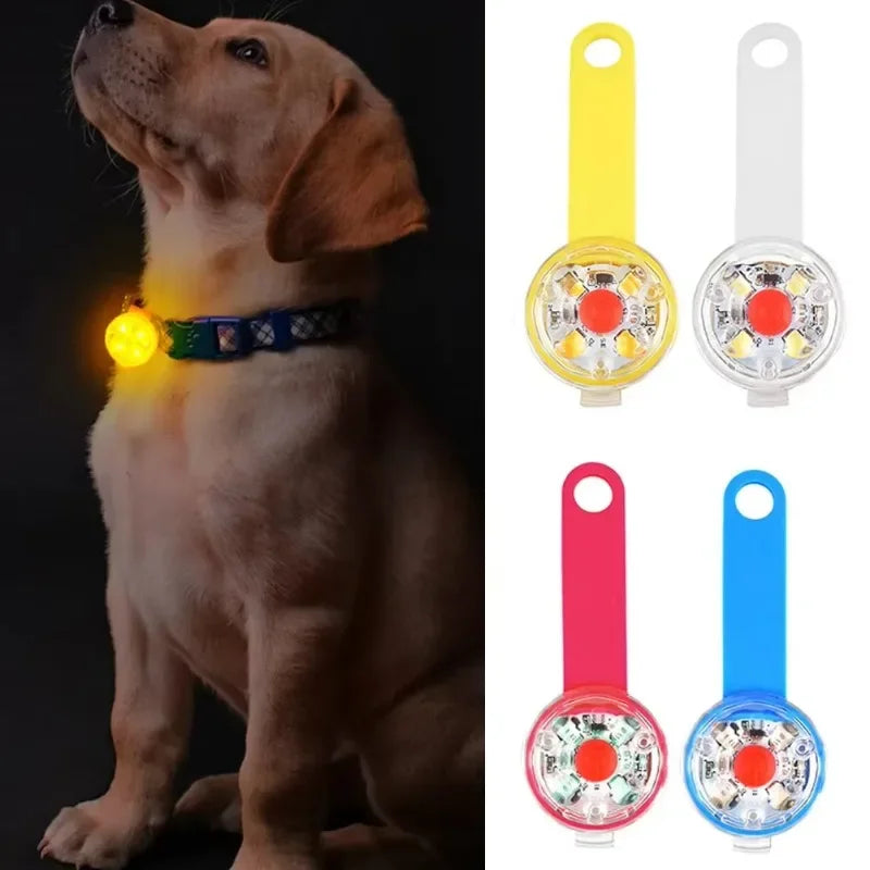 LED Veiligheidslampje voor Honden - USB Oplaadbaar - Waterbestendig