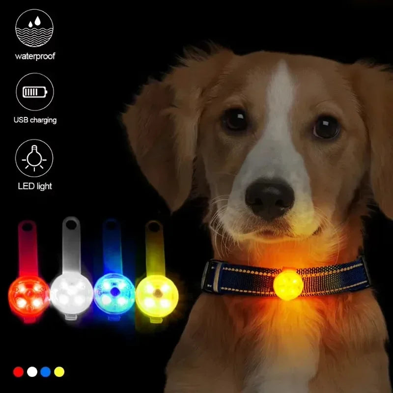 LED Veiligheidslampje voor Honden - USB Oplaadbaar - Waterbestendig